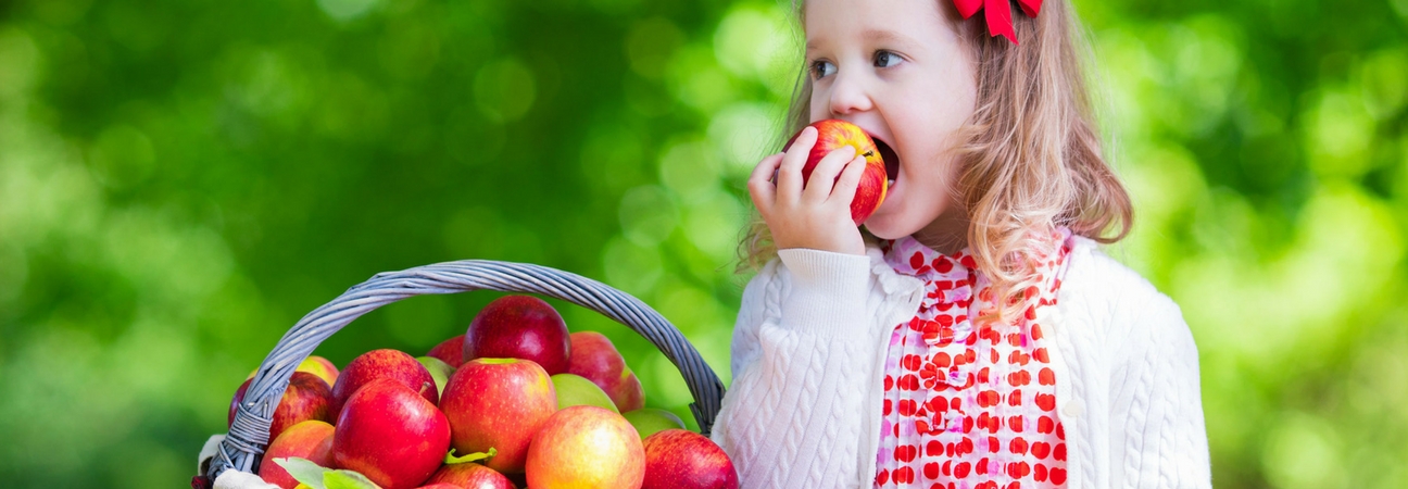 girl eating apples out of a basket of fruit, a tooth healthy snack in wilson, nc